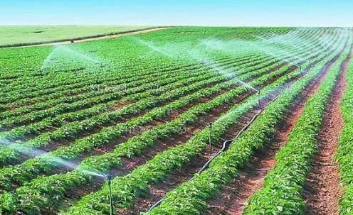 在线观看视频啊嗯不要农田高 效节水灌溉